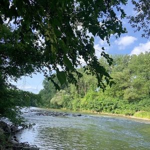 Meet your Posher, Brendan